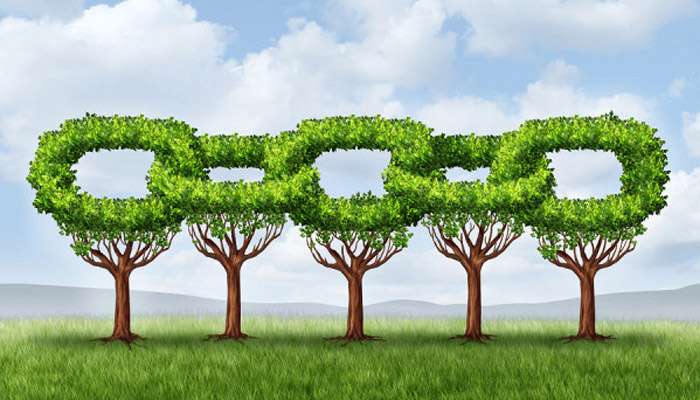 3 stratégia a természetes linképítés elősegítésére