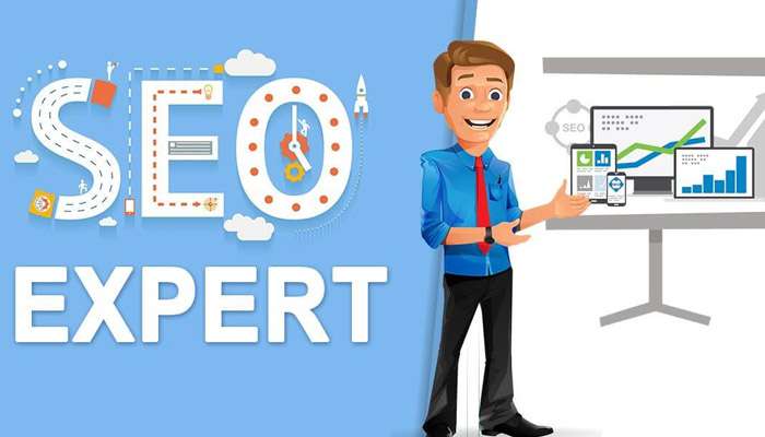 Miért kell egy weboldalnak SEO szakember?